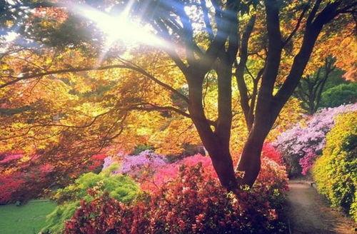 新闻爆料九月九满山红,揭秘红色旅游胜地魅力